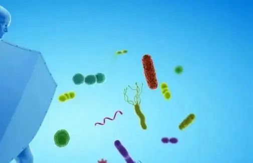 吃中药，有啥忌口？医生建议：6类食物尽量避免，要不中药白喝了