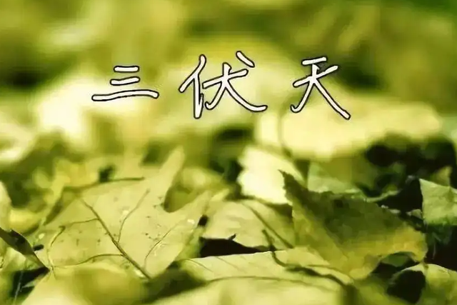 三伏天，8种“碱性食物”不妨常吃，看有你喜欢吃的吗？