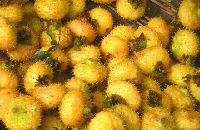 防癌抗癌，建议适当吃6种碱性食物，或益于身体健康