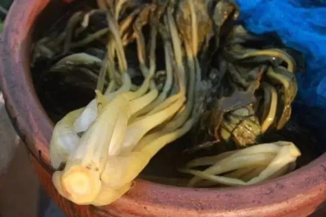 老一辈人因为穷经常吃咸菜却很少生病？医生：原因其实很简单！