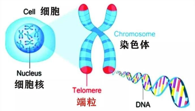 钟南山院士提醒中老年人：做好这五件事，更有利于身体健康