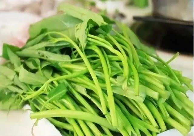 空心菜是万毒之王“重金属”超标？吃了会抽筋？告诉你真相