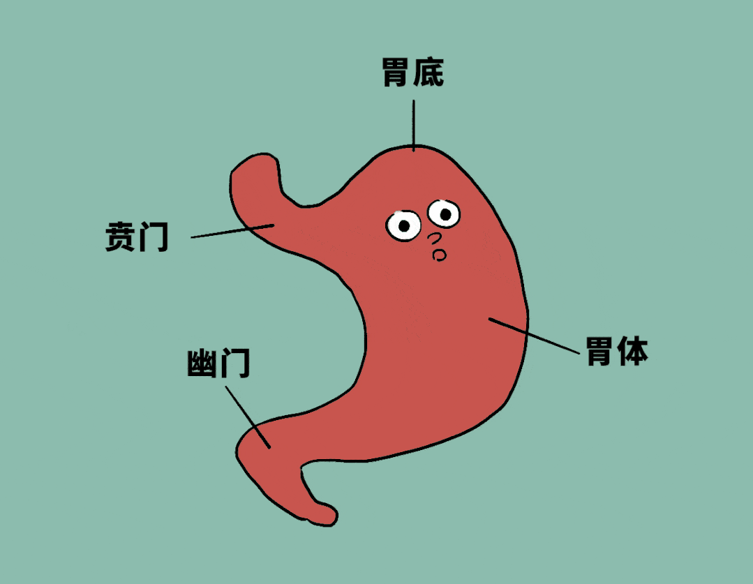 胃不好的人，要牢记这5点，抑制幽门螺杆菌，修复胃黏膜