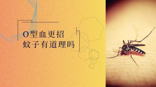 O型血的人身体素质好？提醒：O型血的人或有这几个缺点，要多注意