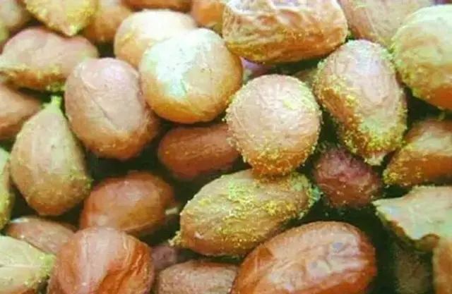 研究癌症60余年，孙燕院士坦言：不想癌细胞活跃，请远离6种东西