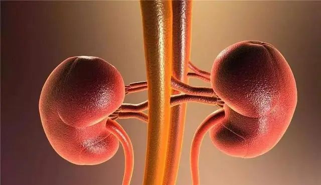 为何“尿毒症”越来越多呢？劝告：6物尽量少吃，或利于肾脏健康