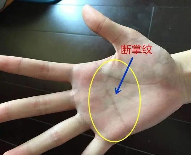 俗语：“断掌一条线，富贵不相欠”，是什么意思？你是断掌吗？