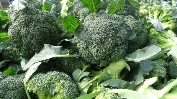 10大“健康食品”公布，鸡蛋入榜，医生建议：为了健康要多吃
