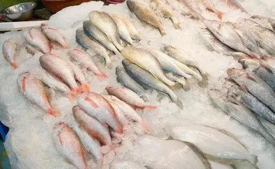 鲈鱼究竟有什么营养价值？医生提醒：鲈鱼虽好，但这4种人要少吃
