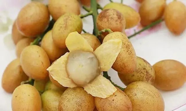 端午节，吃了粽子别忘吃“5果”，解腻下火助消化，孩子吃正好