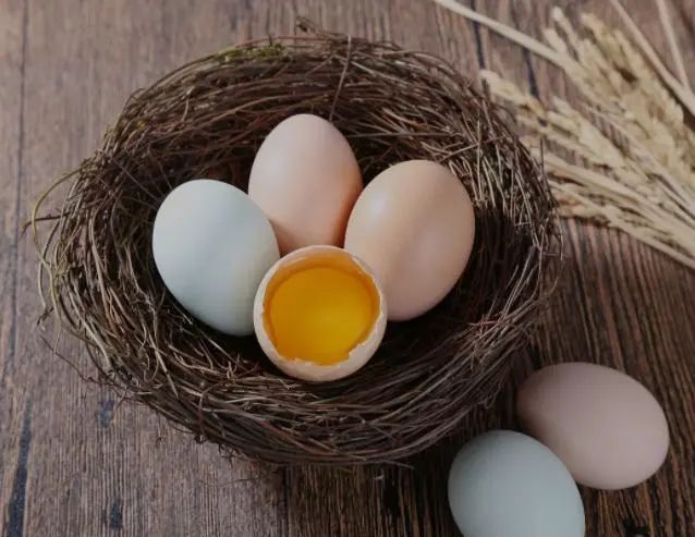 鸡蛋是肺部结节的“发物”吗？医生：若想肺好，少碰4种食物