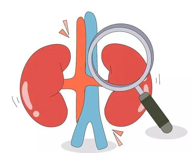 肾衰身体有什么变化？内科医生：若出现这3种情况，要保护肾了