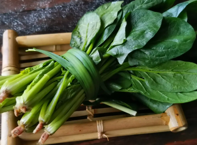 胃病不能吃豆腐？提醒：牢记以下9种食物，或有助减轻肠胃压力