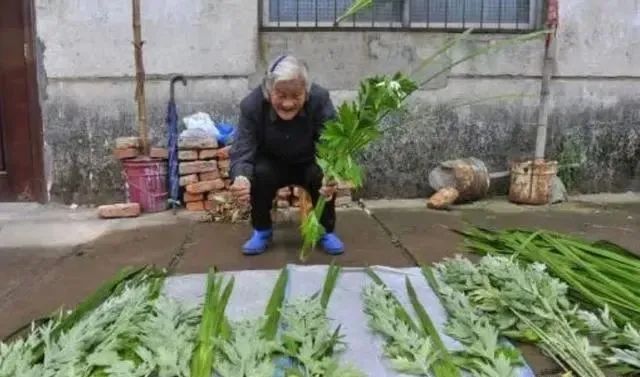 端午节要来了，吃3样、做2事、忌1样，老辈传下的“讲究”别丢了