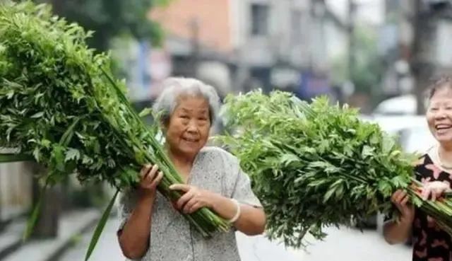 端午节要来了，吃3样、做2事、忌1样，老辈传下的“讲究”别丢了
