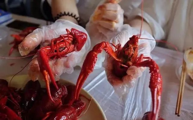 小龙虾脏？你错了！永远不死，爱干净，还怕疼，这才是它的真面目