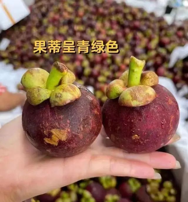 买山竹，别光挑大的要选“母”的，牢记这4点，包你皮薄肉多核小