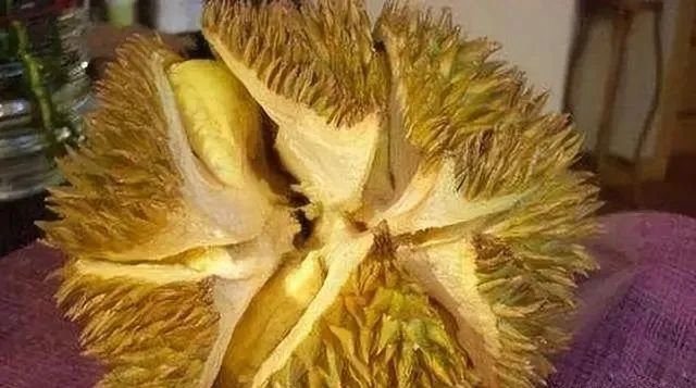 买榴莲就选“母”的，肉多皮薄，牢记4个小技巧，老板都夸你内行