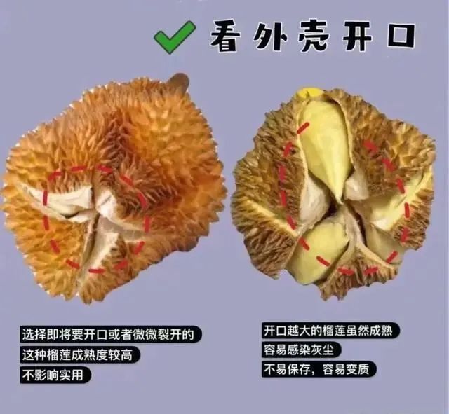 买榴莲就选“母”的，肉多皮薄，牢记4个小技巧，老板都夸你内行