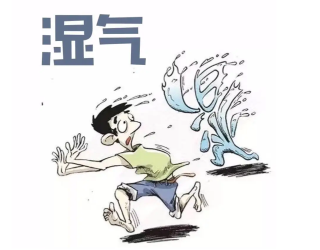 湿气到底是怎么来的？是喝水多导致的？教你4个祛湿妙招