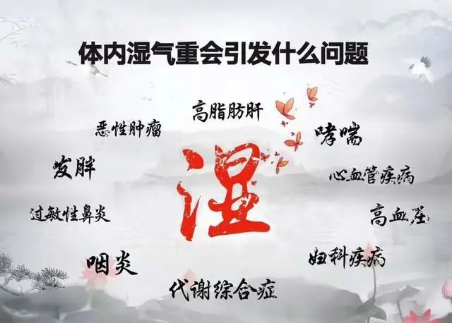 湿气到底是怎么来的？是喝水多导致的？教你4个祛湿妙招