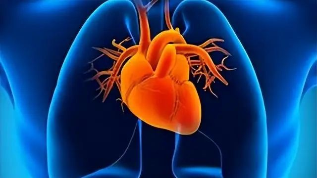 吃花生，能养生？研究发现：花生能让血管更健康，怎么吃才正确？