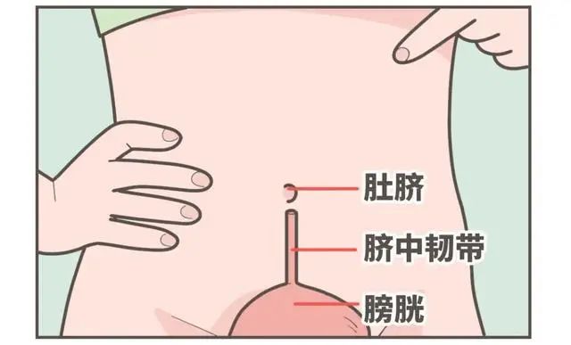 女性睡前，将风油精滴进肚脐内，一段时间后，身体会发生哪些改变
