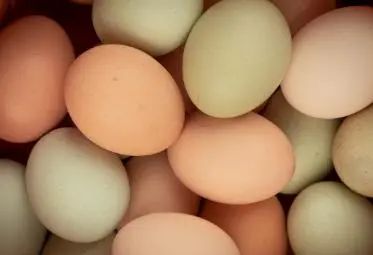 鸡蛋、鸭蛋、鹅蛋、鹌鹑蛋，哪种更有营养？医生：2种蛋尽量少吃