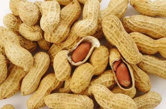 血糖高不能吃花生？医生：血糖高的人，这3种“素食”或要少吃