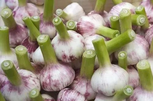 坚持天天吃大蒜的人，最后得到了什么？看完或许就明白了