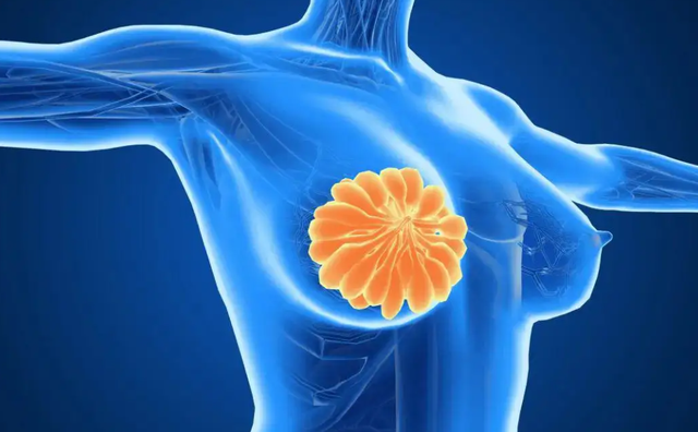 女人有乳腺增生不可以喝豆浆？提示：少吃4物多吃3物，有助于恢复