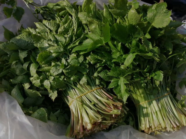 为何患癌的人群越来越多？医生建议：这6种蔬菜要少吃