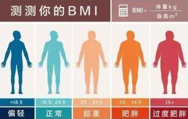 寿命与体重的关系被发现：60岁后，这样的体重或刚好，不妨自查