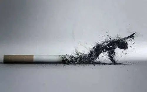 吸烟越多的人，反而越不容易得肺癌，可信吗？真相原来是这样的