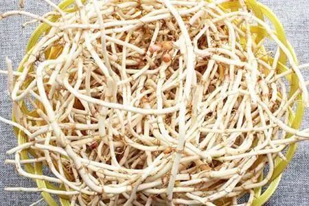 鱼腥草含“马兜铃酸”，有毒还致癌，是否可信呢？看完涨知识了