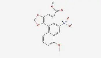 鱼腥草含“马兜铃酸”，有毒还致癌，是否可信呢？看完涨知识了