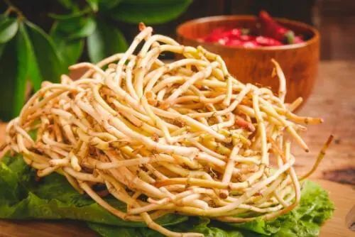 鱼腥草含“马兜铃酸”，有毒还致癌，是否可信呢？看完涨知识了