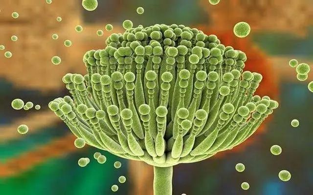 研究癌症60余年，孙燕院士坦言：不想癌细胞活跃，避开这6种东西