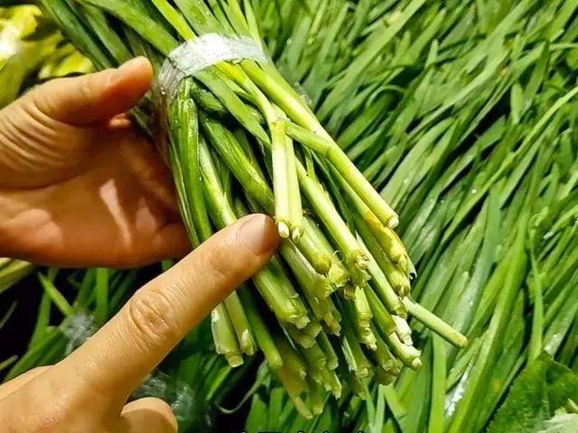患高血压万万不能碰的蔬菜，或会使血压变高，要注意，早知早预防