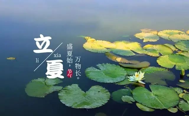 今日立夏，再忙也别忘了吃几种传统食物，寓意好，顺利迎接夏季