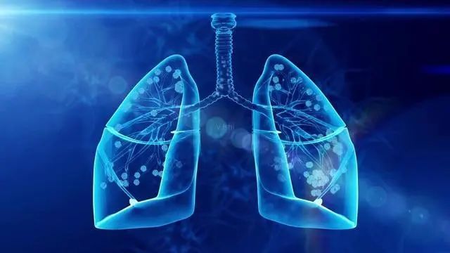 为啥一到凌晨3、4点就早醒？内科主任：身体这2处可能“堵”了