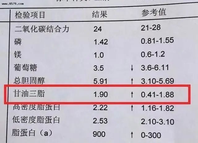 甘油三酯偏高就是高血脂了？提醒：若没超过这个数，或无需担心