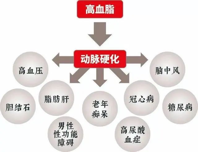 甘油三酯偏高就是高血脂了？提醒：若没超过这个数，或无需担心