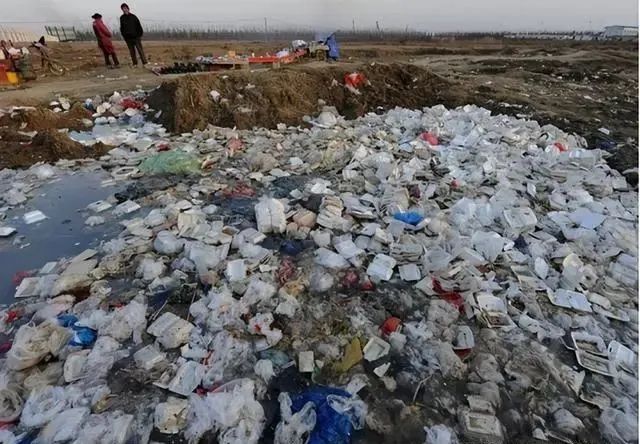 装菜塑料袋放进冰箱，等于“慢性自杀”会致癌？实验揭晓真相