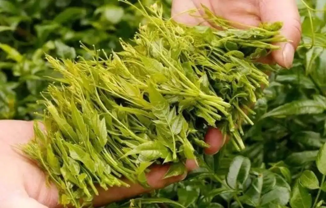 高血脂不能吃豆腐？医生：3种降脂食物常吃，血脂“偷偷”下降