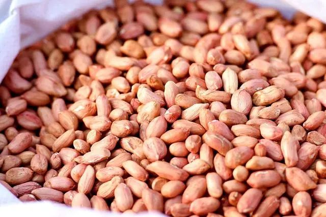 年龄大了要管住嘴：常吃6种“高蛋白低脂肪”的食物，越吃越健康