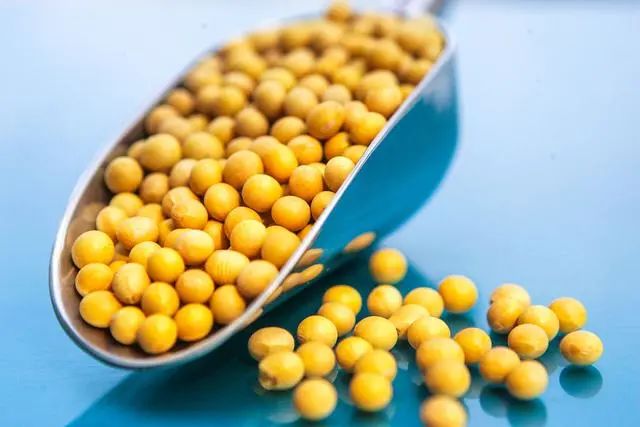 年龄大了要管住嘴：常吃6种“高蛋白低脂肪”的食物，越吃越健康