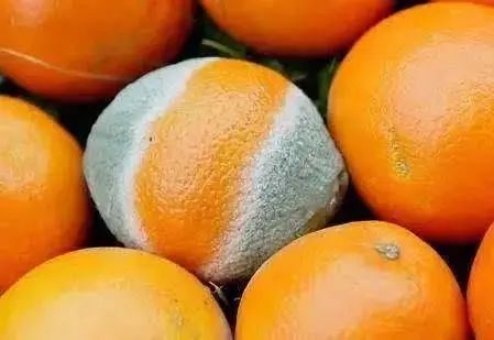 中国癌症高发，和吃水果太少有关？医生：这7种水果，请嘴下留情