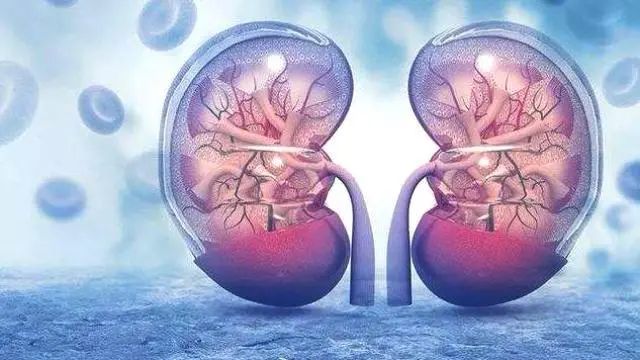 34岁男子患尿毒症，依靠透析活命：后悔年轻时太无知，不懂节制