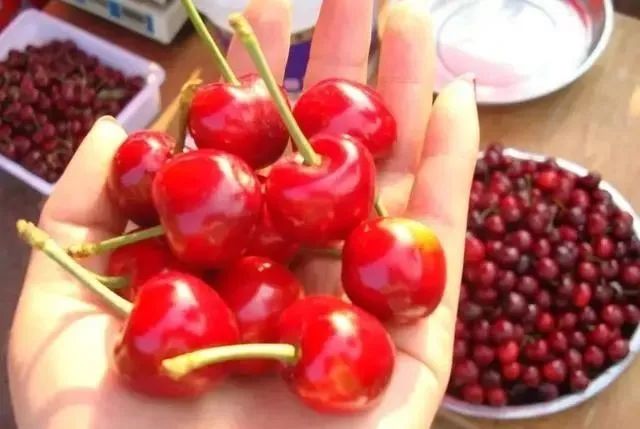 水果界中的5对“双胞胎”，就因起名不同，身价倍增，你都吃过吗
